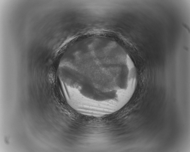 X0000101161206200807251103