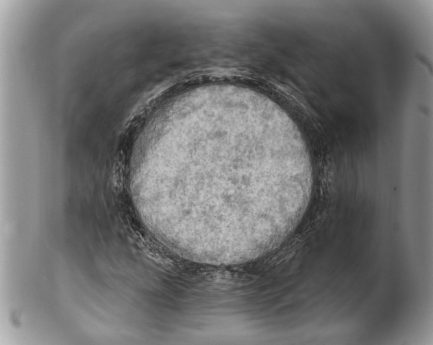 X0000101161207200807251103