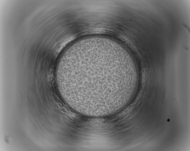 X0000101161210200807251103