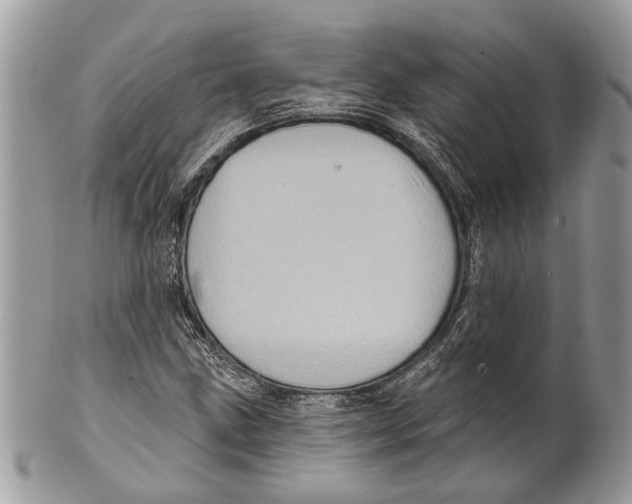 X0000101161211200807251103