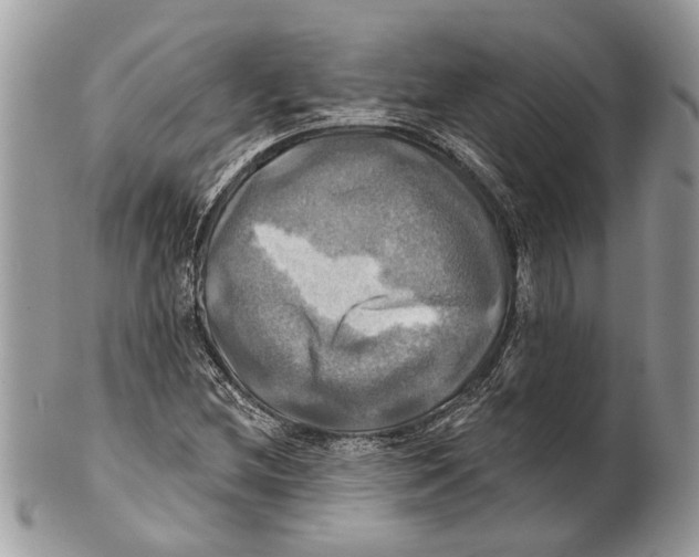 X0000101161212200807251103