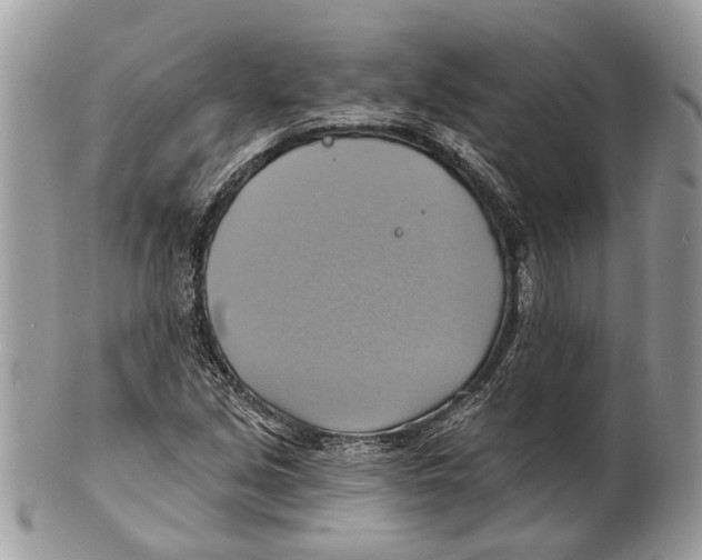 X0000101161213200807251103