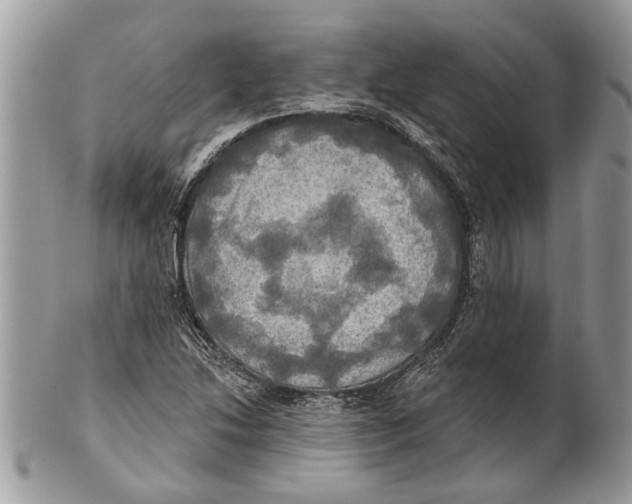 X0000101161214200807251103