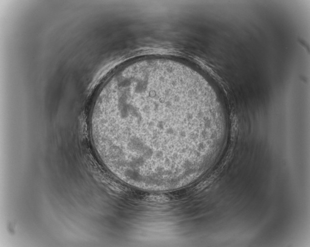 X0000101161215200807251103