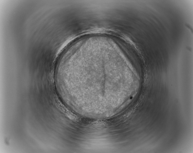 X0000101161216200807251103
