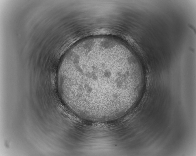 X0000101161217200807251103