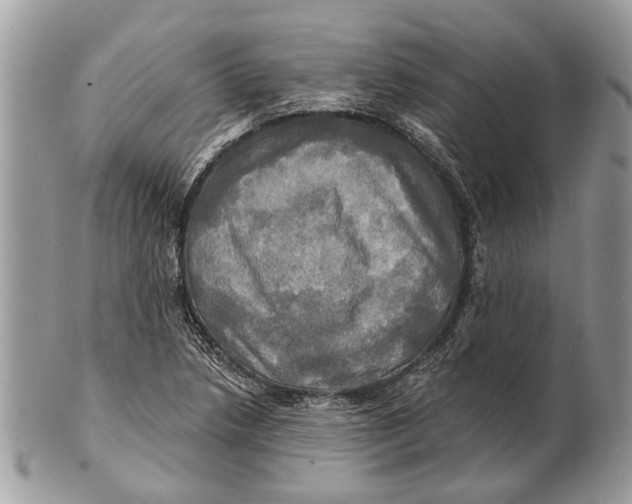 X0000101161218200807251103