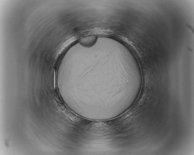 X0000101161219200807251103