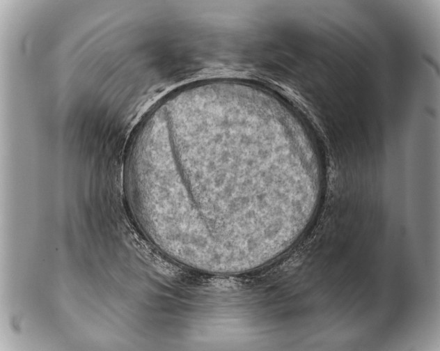 X0000101161220200807251103