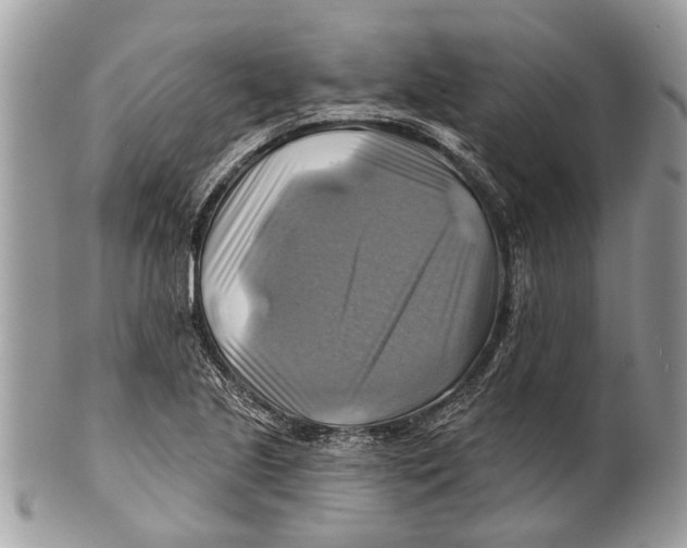 X0000101161221200807251103