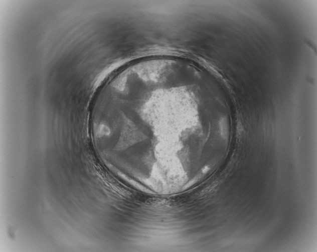 X0000101161222200807251103