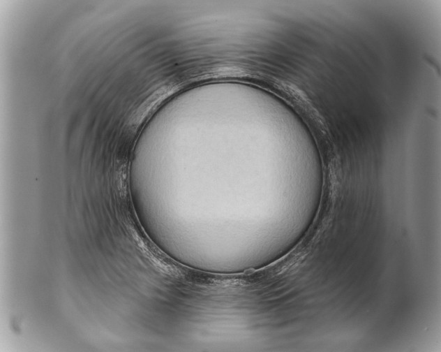 X0000101161225200807251103