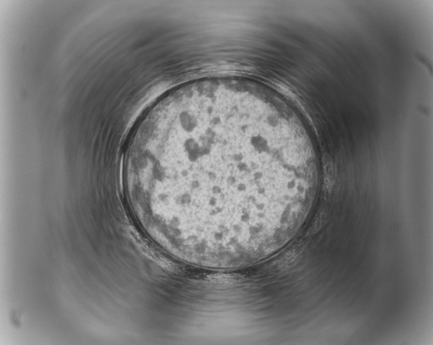 X0000101161227200807251103