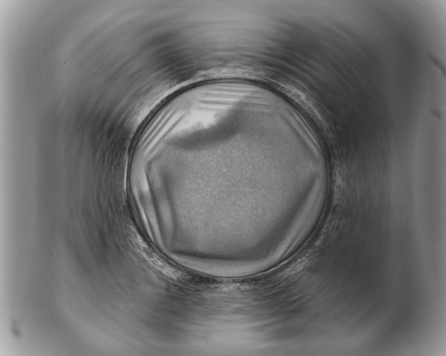X0000101161228200807251103