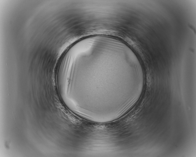 X0000101161230200807251103