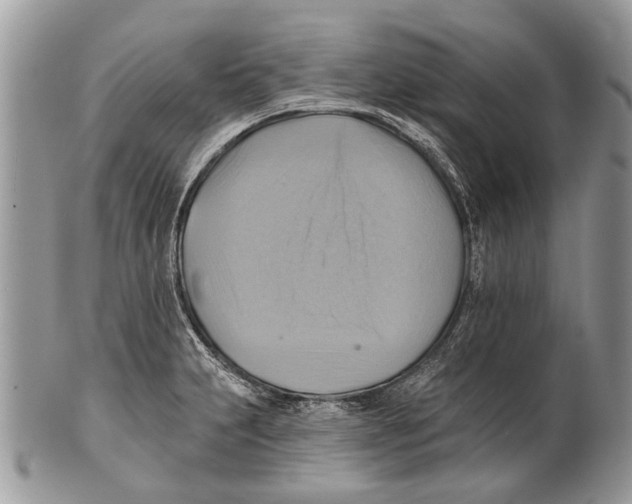 X0000101161231200807251103