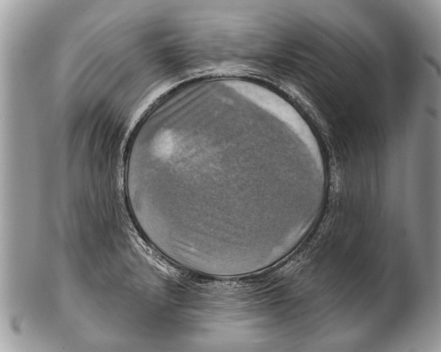 X0000101161232200807251103