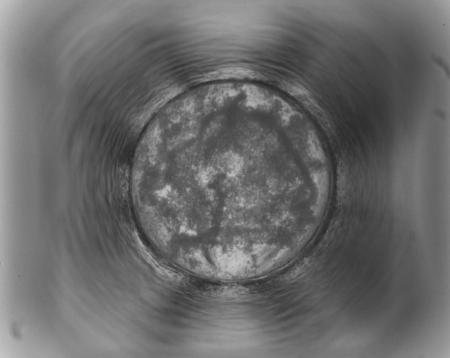 X0000101161233200807251103