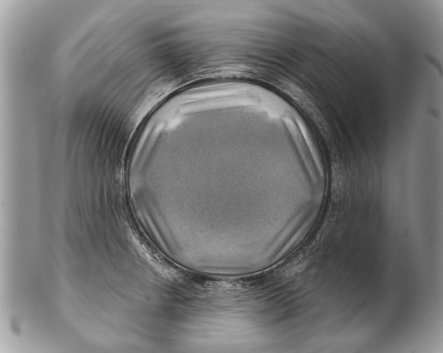 X0000101161234200807251103