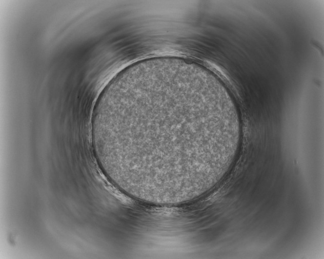X0000101161236200807251103
