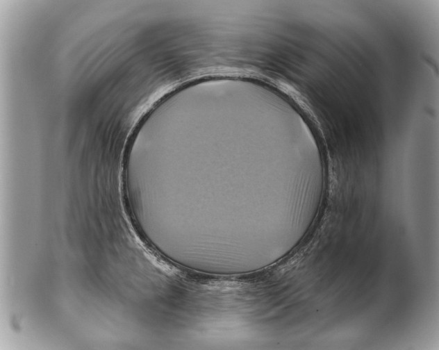 X0000101161237200807251103