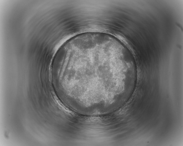 X0000101161238200807251103