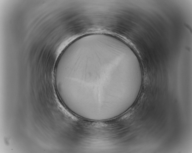 X0000101161239200807251103