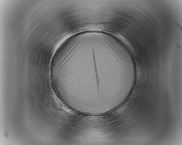 X0000101161240200807251103