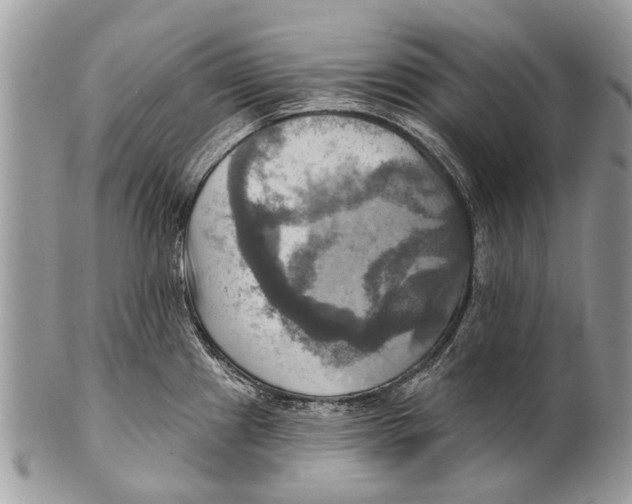 X0000101161241200807251103