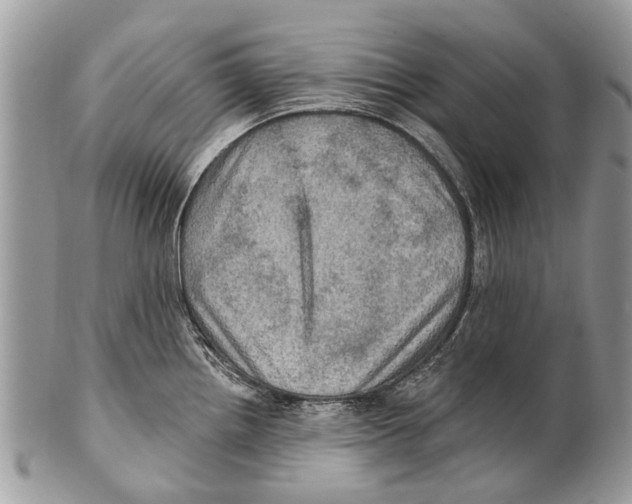 X0000101161242200807251103