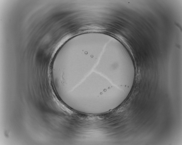 X0000101161243200807251103