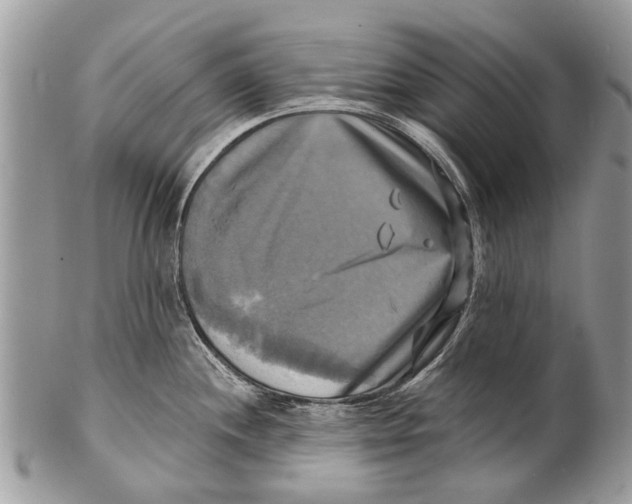 X0000101161244200807251103