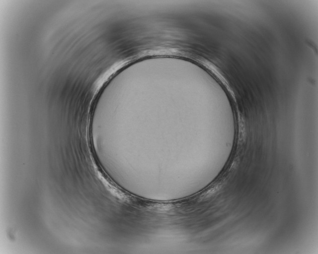 X0000101161245200807251103