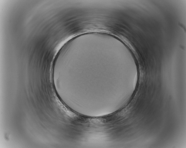 X0000101161246200807251103