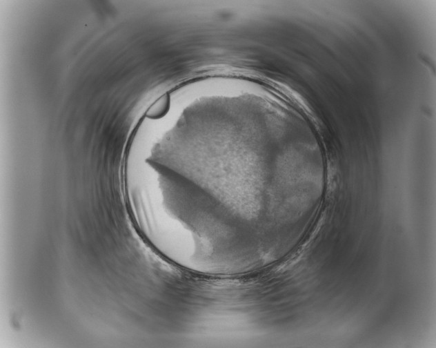 X0000101161247200807251103