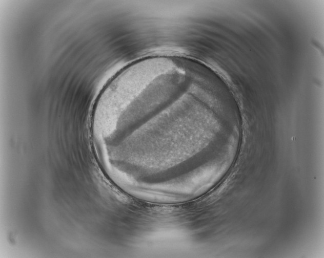 X0000101161248200807251103