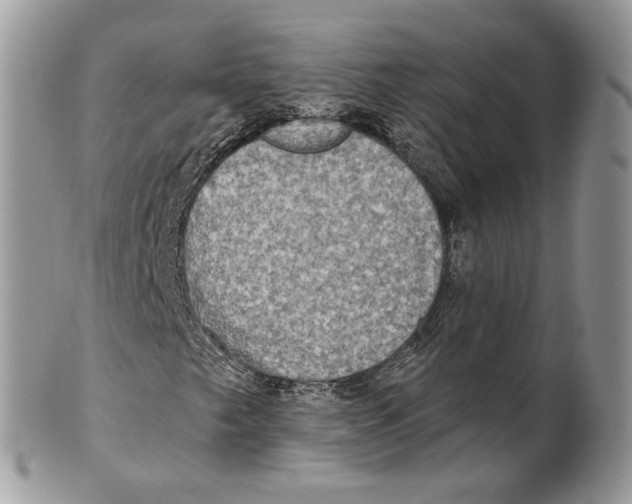 X0000101161249200807251103