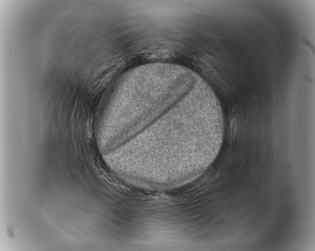 X0000101161250200807251103