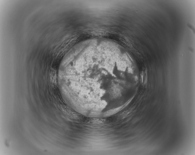 X0000101161251200807251103