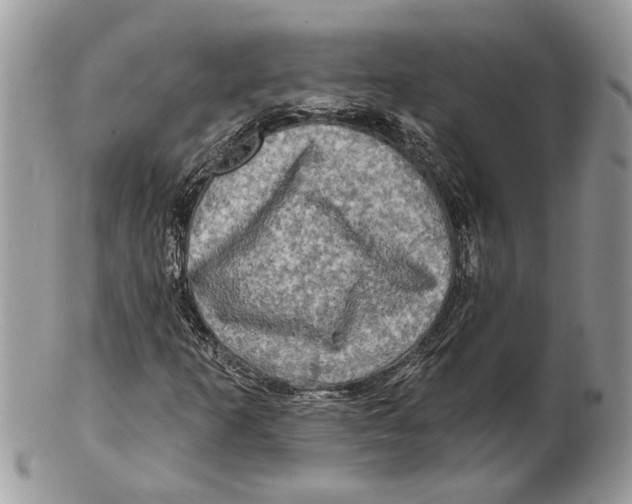 X0000101161253200807251103