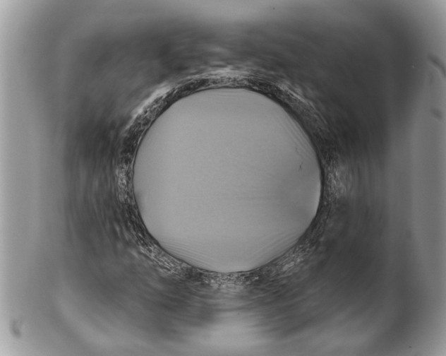X0000101161254200807251103