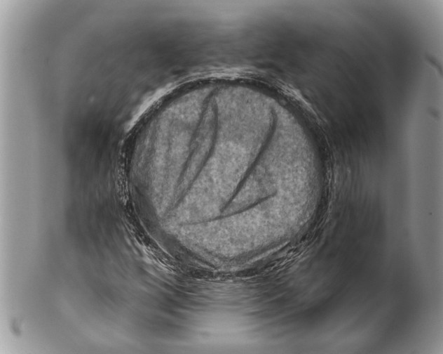 X0000101161256200807251103