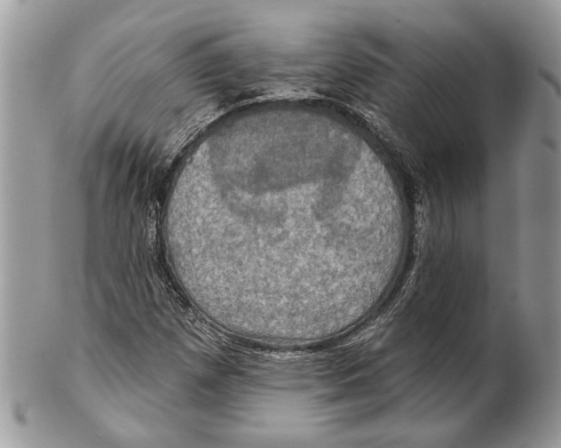 X0000101161257200807251103
