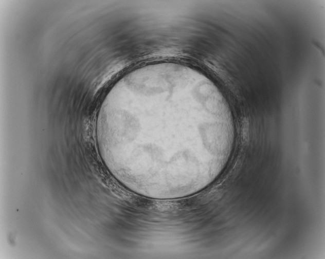 X0000101161258200807251103