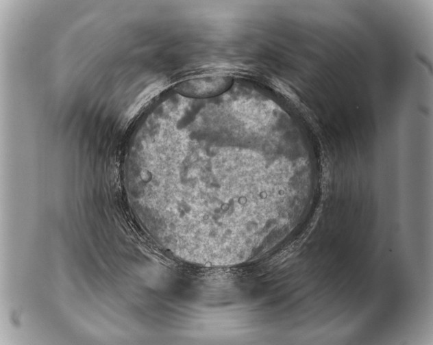 X0000101161259200807251103