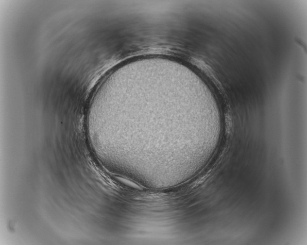 X0000101161260200807251103