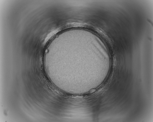 X0000101161261200807251103