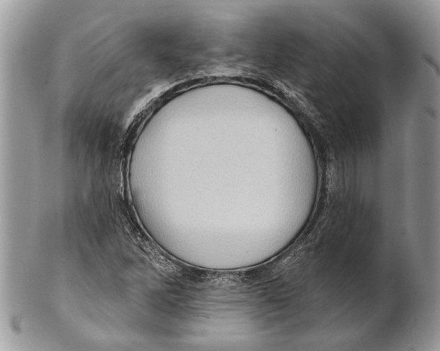 X0000101161262200807251103
