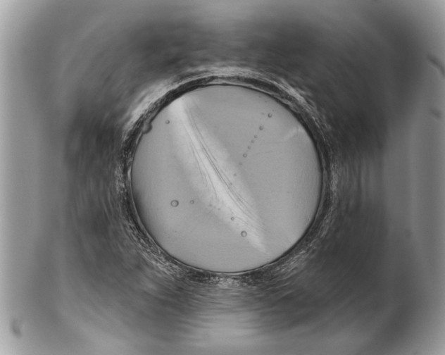 X0000101161263200807251103