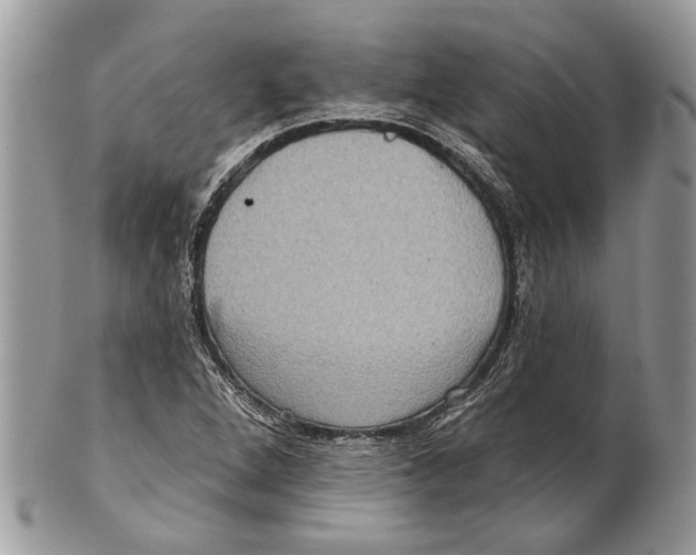X0000101161264200807251103